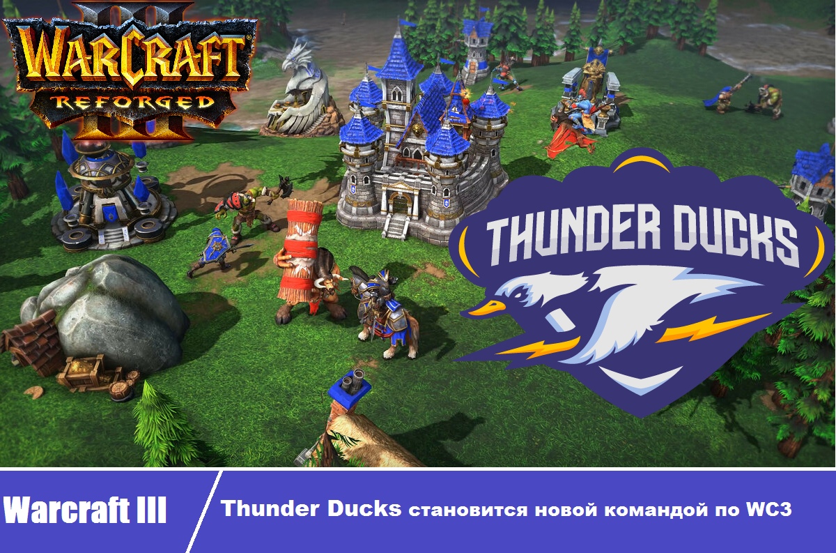 Новая команда по Warcraft 3 – Thunder Ducks